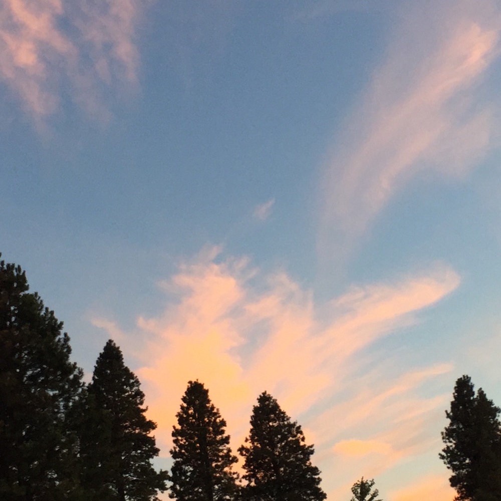 Meet your Posher, Kristen